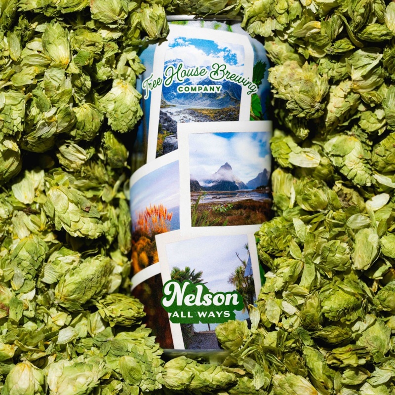 Tree House -- Nelson All Ways -- Sept 22nd