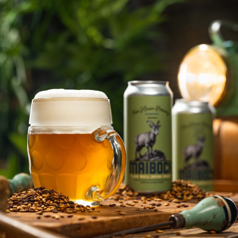 Tree House -- Steinbock -- March 11th