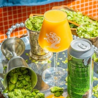 Tree House -- Project Find the Limit #10 -- Oct 14th