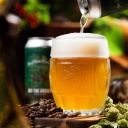 Tree House -- Off hte Ground -- August 11th