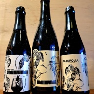 Phase Three Planifolia (2023) + Planifolia (2024) + Planifolia (2025)