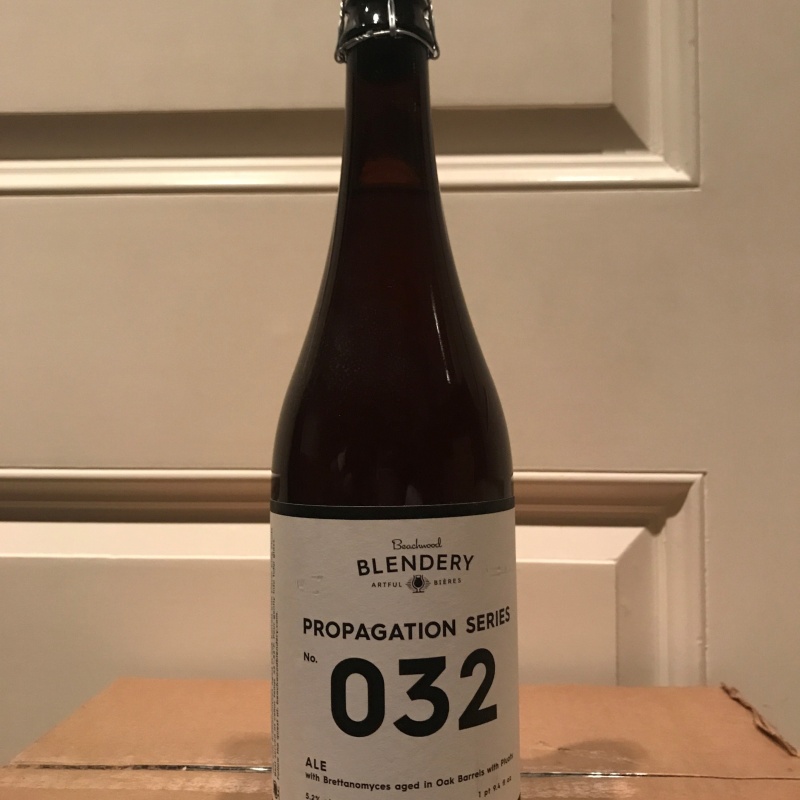 Beachwood Blendery - Propagation 032