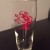 TREEHOUSE RED LOGO PINT GLASS SPECIAL RELEASE