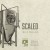 TRILLIUM brewing SCALED - NEW ENGLAND IPA