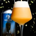 Tree House -- Simcoe All Ways -- July 16th