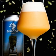 Tree House -- Simcoe All Ways -- July 16th