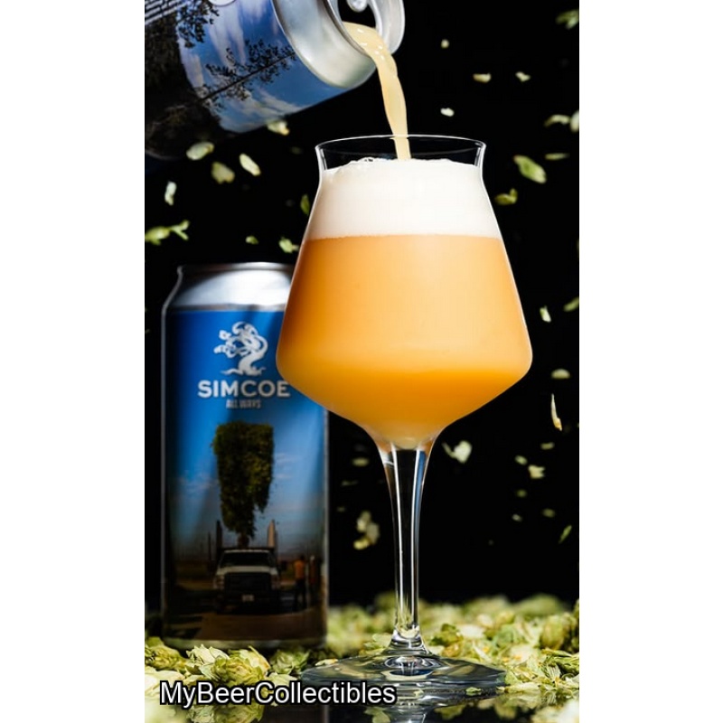 Tree House -- Simcoe All Ways -- July 16th