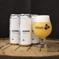 Trillium -- Headroom DIPA -- Aug 21st