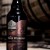 [F/S] 2016 THE BOTTLE LOGIC THE DARK WANDERER BBA CHOCOLATE IMPERIAL DIABLO STOUT [F/S]
