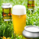 Tree House -- Waddle -- Aug 20th