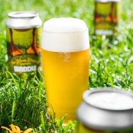 Tree House -- Waddle -- Aug 20th