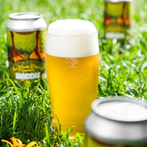 Tree House -- Waddle -- Aug 20th