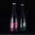 FINBACK ABSORB 2 BOTTLE SET (PINK AND GREEN) IMPERIAL STOUT