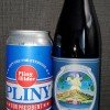 2024 Pliny the younger and pliny for president