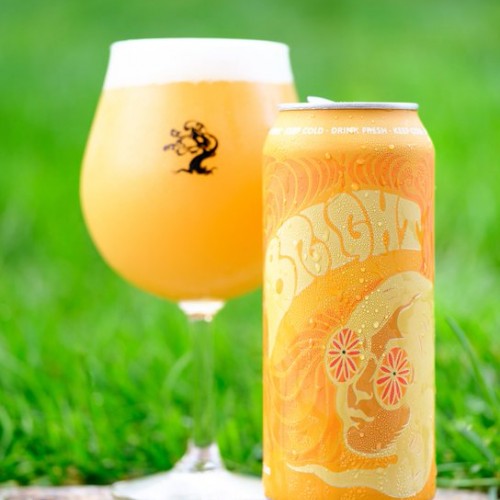 ***1 Can Tree House Bright With Citra***