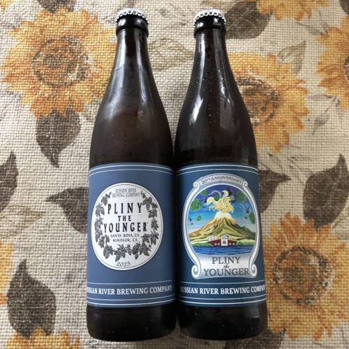 NEW 2024 & 2023 Pliny the Younger