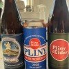 Pliny the younger