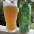 Tree House Brewing | 1 can Green
