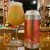 Other Half - DDH Citra Daydream - 5/18