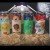 Weldwerks Brewing - 4 Cans - 1 each from 7/26/19 Release