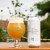 Trillium Double Dry Hopped Summer Street IPA Canned 8/1