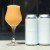 White Ferrari 4 Pack - The Veil Brewing Co - Imperial/Double IPA