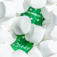 Tree House Brewing 2 * GREEN MARSHMALLOW - 2 CANS 01/27/2026