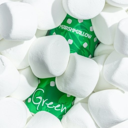 Tree House Brewing 2 * GREEN MARSHMALLOW - 2 CANS 01/27/2026