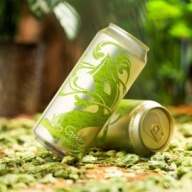 Tree House Brewing 2 * VERY GREEN PINEAPPLE VANILLA BEAN - 2 CANS 02/13/2026